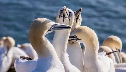 Kaiyun Sports-开云体育-kaiyun：云端赋能的人生加速器